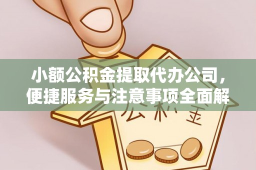 清远小额公积金提取代办公司，便捷服务与注意事项全面解析