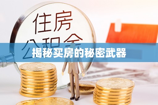 清远揭秘买房的秘密武器