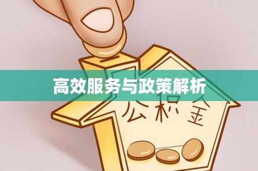 清远高效服务与政策解析