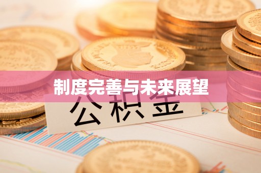 清远制度完善与未来展望