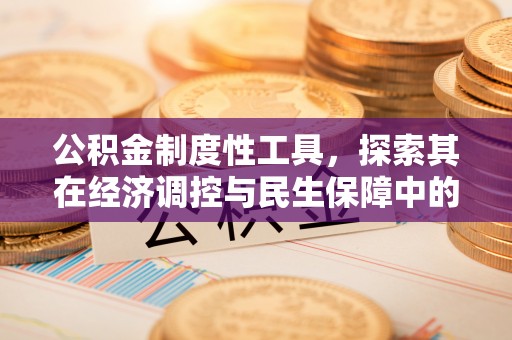 清远公积金制度性工具，探索其在经济调控与民生保障中的重要作用