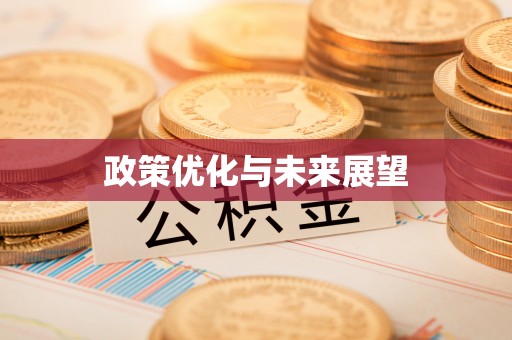 清远政策优化与未来展望