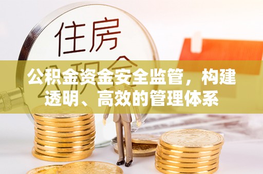 清远公积金资金安全监管，构建透明、高效的管理体系